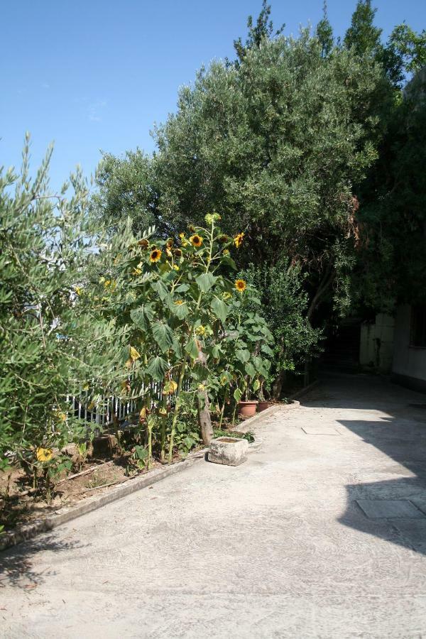 Sunflower 스플리트 외부 사진